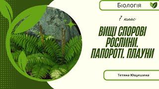 Урок 20. Вищі спорові рослини. Папороті. Плауни. 7 клас. НУШ