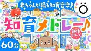 【赤ちゃんが喜ぶ音楽】知育メドレーö│泣き止む笑うアニメ️子供が喜ぶ寝る動画│こどものうた・童謡│歌・音楽│乳児・幼児向け知育番組│0歳/1歳/2歳/3歳の知育アニメ