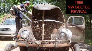 Cleaning the Nasty Forgotten Yard Find - 1956 Oval Vw Beetle - What's inside ?