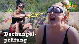 Spiele-ParaFIES: Sarah & Elena in der Prüfung ⭐ | Legenden-Dschungelcamp