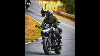 The Pure Joy Of Riding / Motorcycle POV / Kawasaki Bikes / Z650 /No Music Just Pure Sound