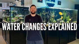 How (and Why) I Do Water Changes on All of My Aquariums