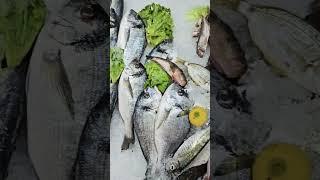 Sea food and fish #relaxingmusic #adventure #love #music #best #memes #lifeisbutadream #agro