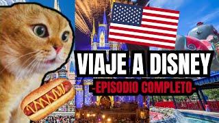 VIAJE A DISNEY , episodio completo (meme de gatos)