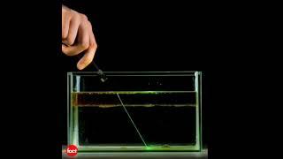 It's all water density laser pointer | Factovation | Purnima Kaul