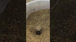 Как забивать кормушку на фидер  #fishing #рыбалка #фидер