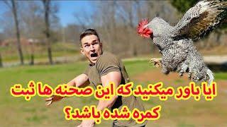 ویدیوهای جالب که ثبت کمره شده است باور نمیکنید این اتفاقات هم افتاده باشد