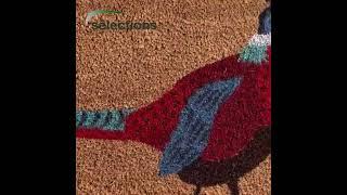 Pheasant Indoor & Outdoor Coir Doormat #doormat