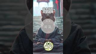 呼吸练习 #呼吸 #呼吸法 #心靈觉醒 #疗愈呼吸