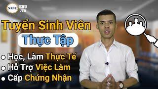 Tuyển Thực Tập Sinh Digital Marketing Tại Học Viện NUU - Hỗ Trợ Việc Làm Sau Thực Tập