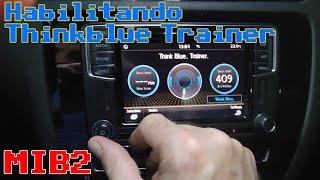 VW MIB2 Discover Media habilitando Asistente Thinkblue / Enabling Thinkblue Trainer