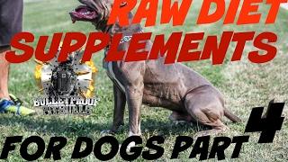 raw fed diet PART 4 SUPPLEMENTS muscles meat healthy real food bodybuilding