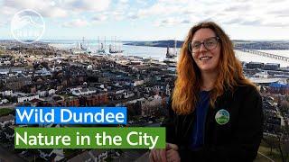Find out how RSPB Scotland is working with communities in Dundee