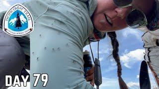 Day 79| Attack of the Mosquitoes  on an Easy 22- Mile Day | Pacific Crest Trail Thru Hike