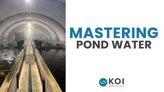 Unlocking the Secrets of Pond Water: Understanding the Ideal Parameters for Koi Carp