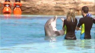 DOLPHIN CAY.!  Behind The Scenes at Atlantis Resort..Bahamas..!