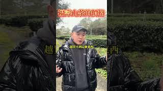 福壽山農場茶真的要一斤7000塊嗎？ 訂購＋LINE@JUXINTEA #福壽梨山聚鑫製茶廠