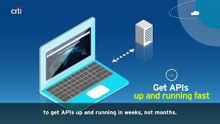 CitiConnect API Portal