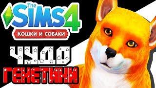 The Sims 4 Challenge | Чудо генетики | Лиса