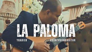 La Paloma live - Yradier | Xuan Truong Guitar #nguyenxuantruong #guitarcover #guitarsolo