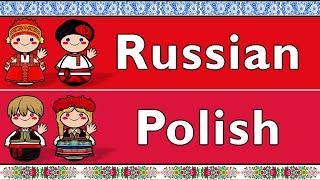 SLAVIC: RUSSIAN & POLISH