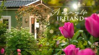 Irish Cottage Garden | Slow Living Ireland | Life on a Farm | Relaxing Nature Sounds