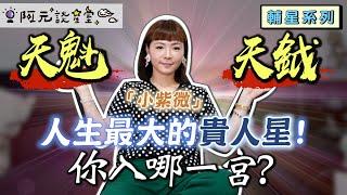 天魁天鉞入十二宮／「小紫微」之稱 一生最大的貴人星？默默守護又溫柔！