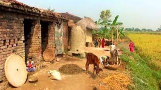 Natural Village Life In India UP || Uttar Pradesh Rural Life In India || Life Of The Poor In india