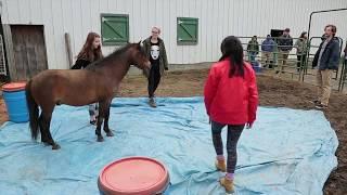 Interdisciplinary Studies at Appalachian State University