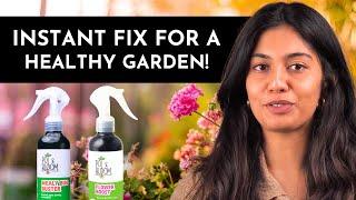 THIS Spray Combo Will Transform Your Garden – See How!