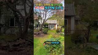 급매 1억 5천!! 모네의 정원 같은 집!! 계곡 텃밭 이쁜 실내까지!! 가성비 최고 전원주택 매매 급매물 #shorts