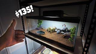 Naturalistic Leopard Gecko setup for $135!