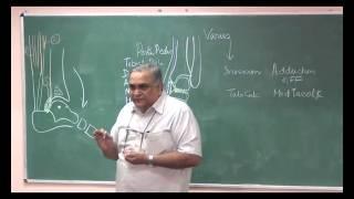 Lecture on CTEV by Dr G.K Singh at Aiims Patna