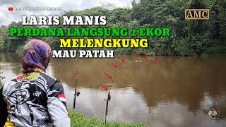 KETETER..!!Kanan Kiri Joran Melengkung Bersamaan Ditarik Ikan Baung||Jacpot Ikan Besar