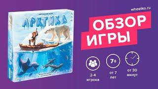Настольная игра "Арктика" - краткий обзор от магазина Wheelko