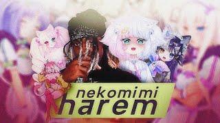 LOUVERTURE - NEKOMIMI HAREM ft. @LittleNii @Miwovt @awew111 & Catfeine | Cat Girl Rap