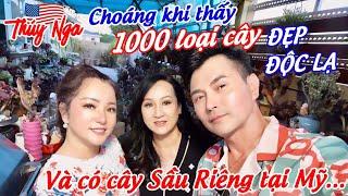 Thuý Nga choáng khi thấy 1000 loại cây Đẹp- Độc lạ và có cây Sầu Riêng tại Mỹ….