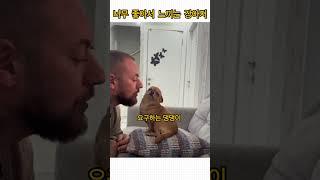 너무 좋아서 느껴버린 강아지 #shotrs #동물쇼츠