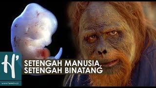 Sudah Diizinkan Gen Campuran Manusia dan Binatang