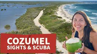 Things to do in Cozumel: sightseeing and scuba diving