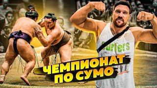 ОБЗОР НА ЯПОНСКИЙ ЧЕМПИОНАТ ПО СУМО