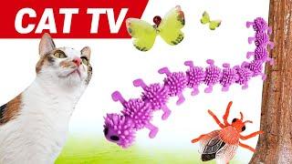 【CAT Games】 CAT TV‍⬛Ultimate Cat TV Compilation