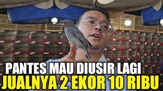 BIKIN KENA MENTAL ! CUMA KIOS ALHAMDULILLAH YG NEKAD JUALAN KAYA GINI PANTES DIMUSUHI SATU PASAR