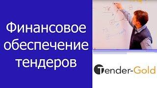 Финансовое обеспечение тендеров - тендерный займ, кредит и банковская гарантия