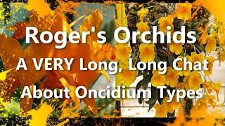 A VERY Long Long Chat About Oncidium Types