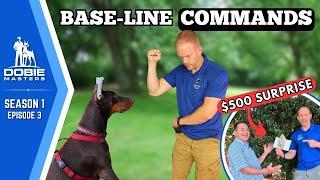 Four Critical Commands to Teach Every Doberman | Dobie Masters - S1E3