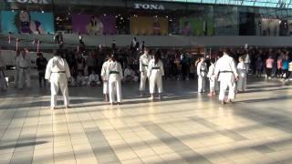 Dentokan JKA Karate - Opvisning i City 2