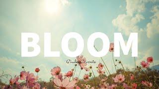 Bloom - Giulio Cercato