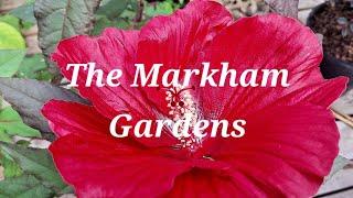 Spicing Up @TheMarkhamGardenswith 'Summer Spice'!