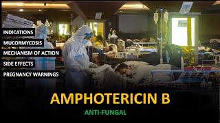 Amphotericin B | Antifungal | Black Fungus @drpharma